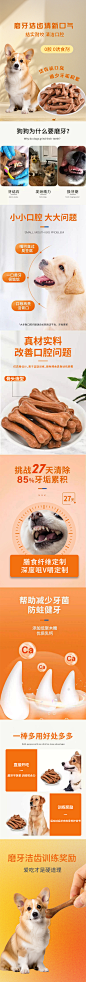 磨牙棒详情