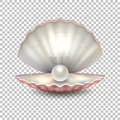 现实矢量美丽自然开放海珍珠壳特写孤立在透明背景上。设计模板、 剪贴画、 图标或样机在 Eps10.