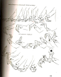 Love this! ✤ || CHARACTER DESIGN REFERENCES | キャラクターデザイン • Find more at https://www.facebook.com/CharacterDesignReferences if you're looking for: #lineart #art #character #design #illustration #expressions #best #animation #drawing #archive #library #refe
