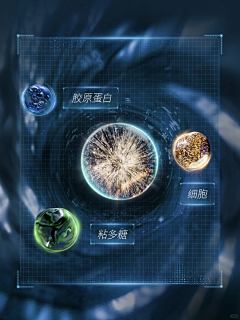 盘小口采集到海蓝之谜