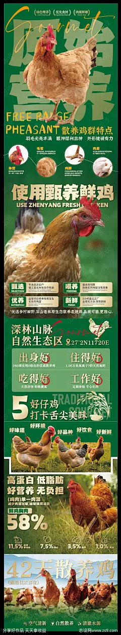 赣南美食散养土鸡海报-源文件下载-志ʹ֣֤֚֫֗ׄ设’网