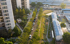 H-种植设计采集到城市街景