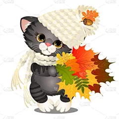 可爱的,热,小猫,灰色,活力,羊毛帽,野生动物,小的,自然美,问候