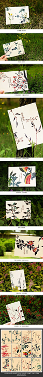 东方美学-草本国历 中国风明信片 12张... - 图个欲望采集到平面设计 - 花瓣