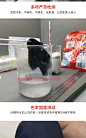 莞城公立小学中心 建设 实验 阮涌 运河 步步高 平乐坊英文 校服-淘宝网