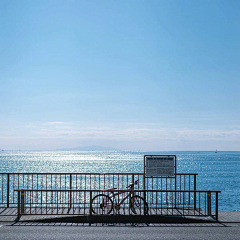 +817+采集到背景