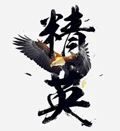黑色文字精英动物老鹰免抠素材_新图网 https://ixintu.com png图片 动物 文字 精英 老鹰 黑色