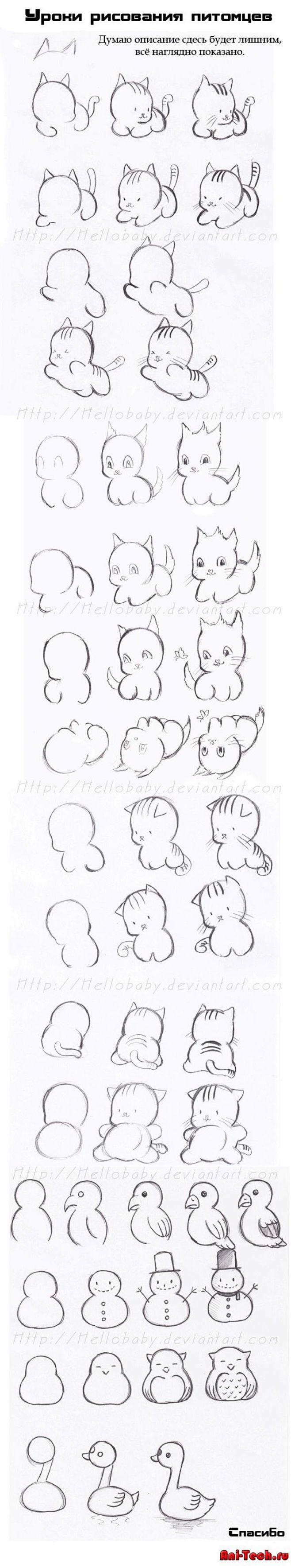 How to draw cute cat...