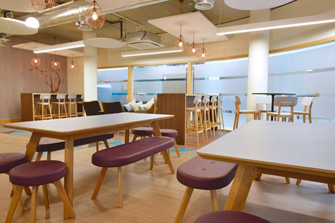 企业食堂设计_新店宝_最专业的眼镜店设计...