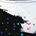 原盐微甜