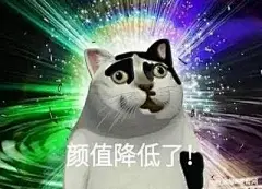 奶牛猫丑到自带表情包!2020第一批丑猫出炉,一