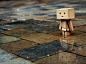 采自Lynn的花瓣画板“Danbo”。