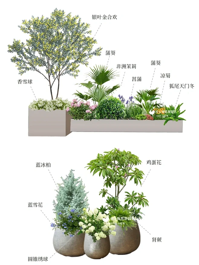 2组庭院花坛植物设计｜附植物清单 - 小红书-花瓣网