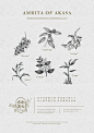 5893_KIQU2OZC3E_率令-B66602482B--P3641387823P-