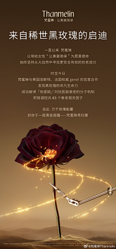 Charming**采集到梵蜜琳