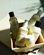 philosophy (@lovephilosophy)的ins主页 · Pinsta.me - Instagram网页版 | 发现搜集喜愛的ins用戶 - Tofo/Lookins.me