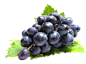 Purple Grapes Grapes greek g