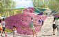 Counts Studio Happy Valley Garden Interior Path Perspective Rendering Image