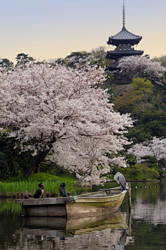 天空知蓝采集到蓝色天空