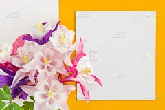 贺卡,空白的,文字,白色,空的,周年纪念卡,邀请的,国际妇女节,我爱你,妇女问题