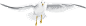 03.png
