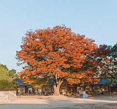 沐言绘采集到风景