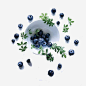 盘子里的蓝莓_新图网ixintu.com
