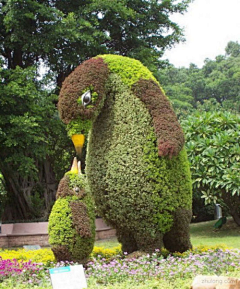 过去11采集到植物雕塑