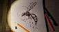 wasp, psdelux ... : time lapse video: youtu.be/y3VK6lcjuvw

www.instagram.com/psdelux/
www.facebook.com/psdelux