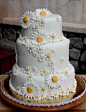 Sweet daisy cake..