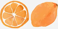 橘色橙子 免费下载 页面网页 平面电商 创意素材