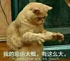 超级可的猫咪表情包下载_动漫新闻_动漫论坛_动漫美图_幻之羁绊动漫网