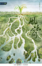 风味人间