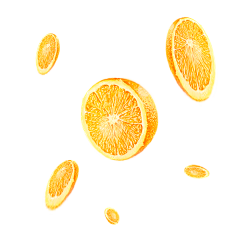 郭源潮·采集到食品 png
