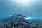Underwater Cars - Scramble Studio on Behance