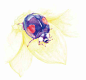《昆虫微世界》——色铅笔下的奇妙昆虫绘（当当：http://t.cn/RhzVjJU）