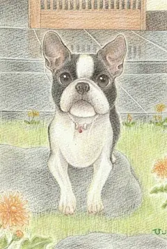 a2c3bc64jw1ezfmasf5iyj20b60godib