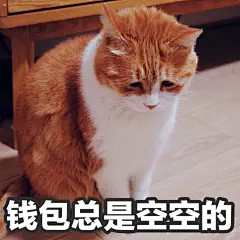 #著名网黄猫日# 黄猪猪表情包钱包空空的 ​​​​