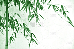 用户CynAUWuH采集到花束