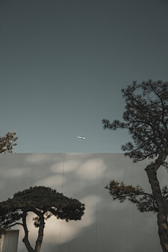 BangoDesign采集到配图