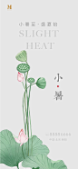 小暑