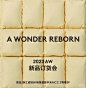 ⬛️A WONDER REBORN|秋冬订货会