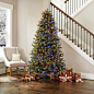 The-Christmas-tree-lights