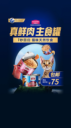 追风戏梦采集到1