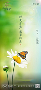 【源文件下载】 海报 房地产 二十四节气 夏至 小清新 花 蝴蝶 117073