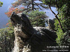 Baolinna采集到魅力六里坪, 恋~河北旅