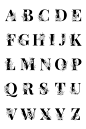 字母花卉排版脚本 psd 集