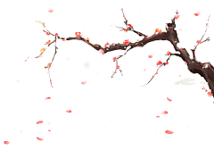顺拐采集到花