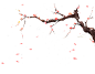梅花元素图片设计素材