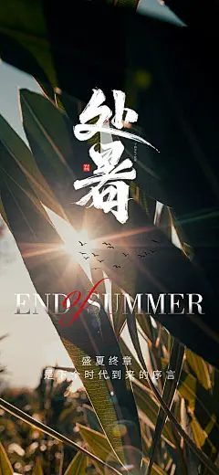 处暑海报